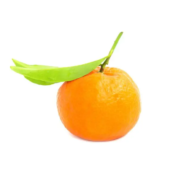 Mandarine Import