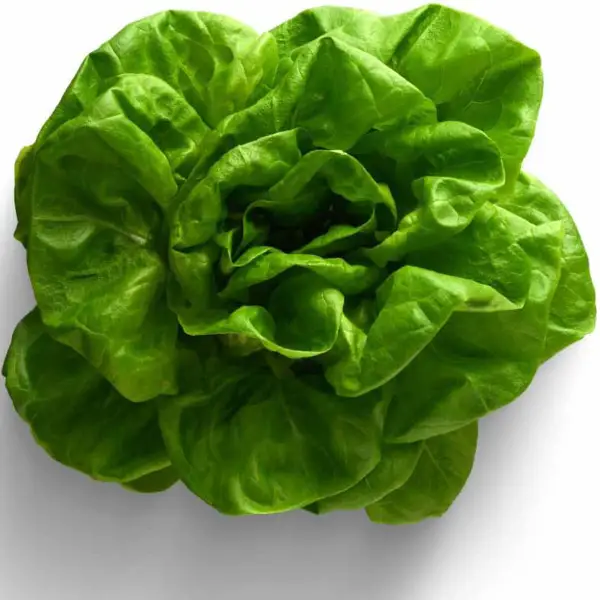Salata Verde Import